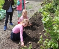 School Garden