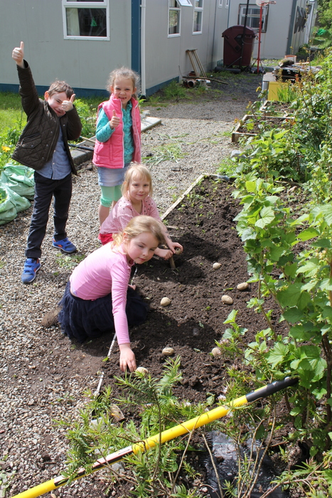 School Garden