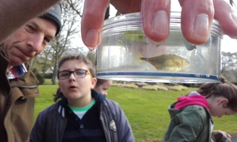 Pond Dipping with Geoff Hunt