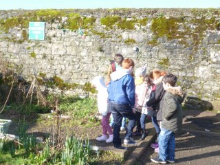 Signs of Spring Group effort J.infants and 4th