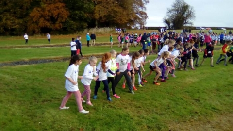 Limerick Schools Cross Country 2016