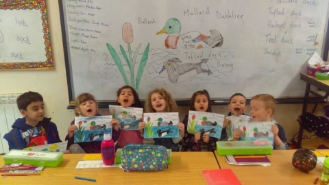 Aine’s Class Learn About Ducks