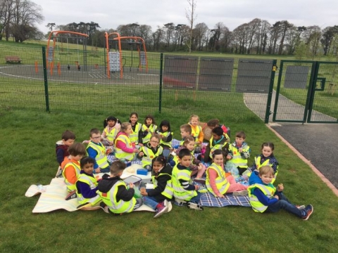 Picnic Time for Junior Infants